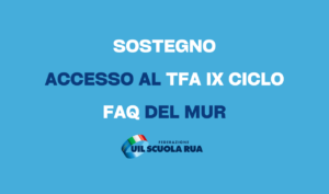 TFA IX ciclo sostegno